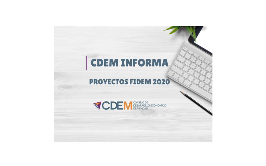 Apoyo Proyectos FIDEM 2020