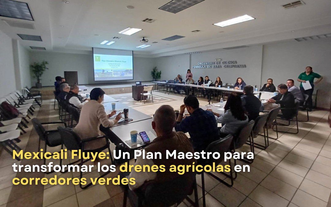 Mexicali Fluye: Un Plan Maestro para transformar los drenes agrícolas en corredores verdes