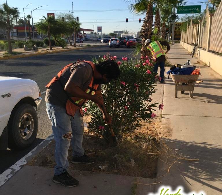 Trabajaremos en coordinación con la Dirección de Protección al Ambiente