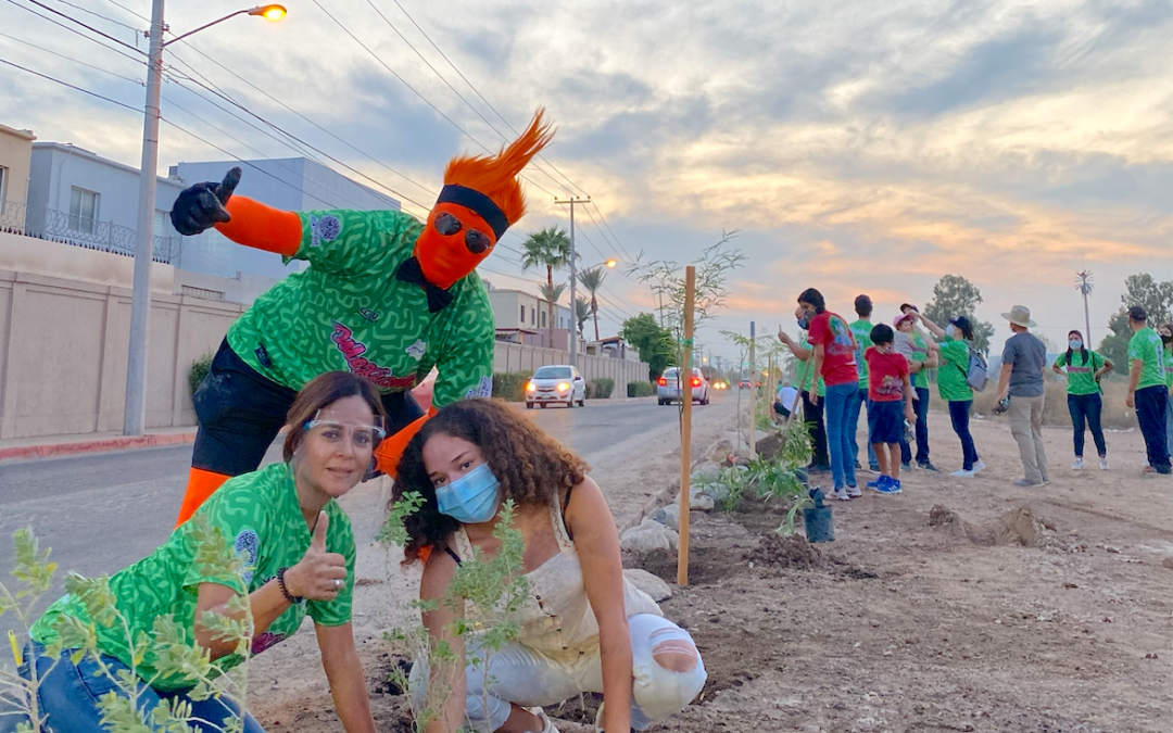 Celebramos nuestra jornada de forestación en Calle Eucalipto